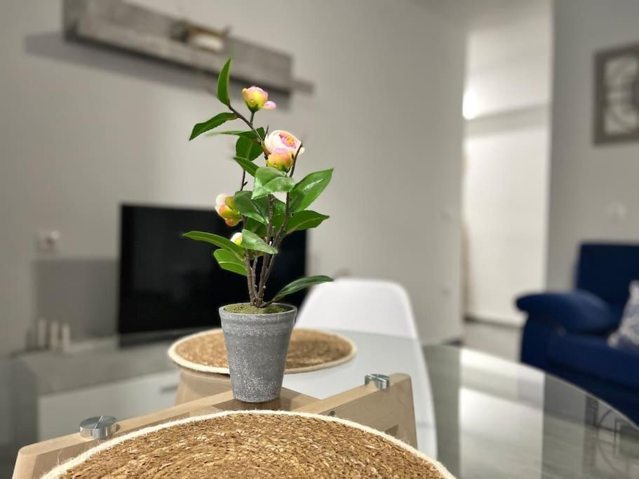 Apartamentos Rincon Andaluz 3 科爾多瓦 外观 照片